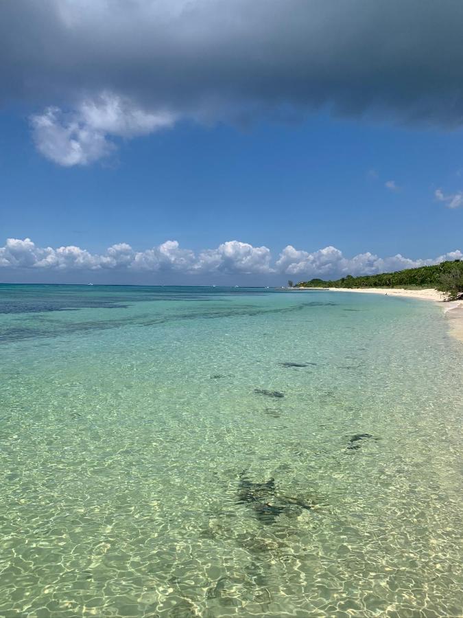 Coco Cozy Apartment Centric And Private Cozumel Esterno foto