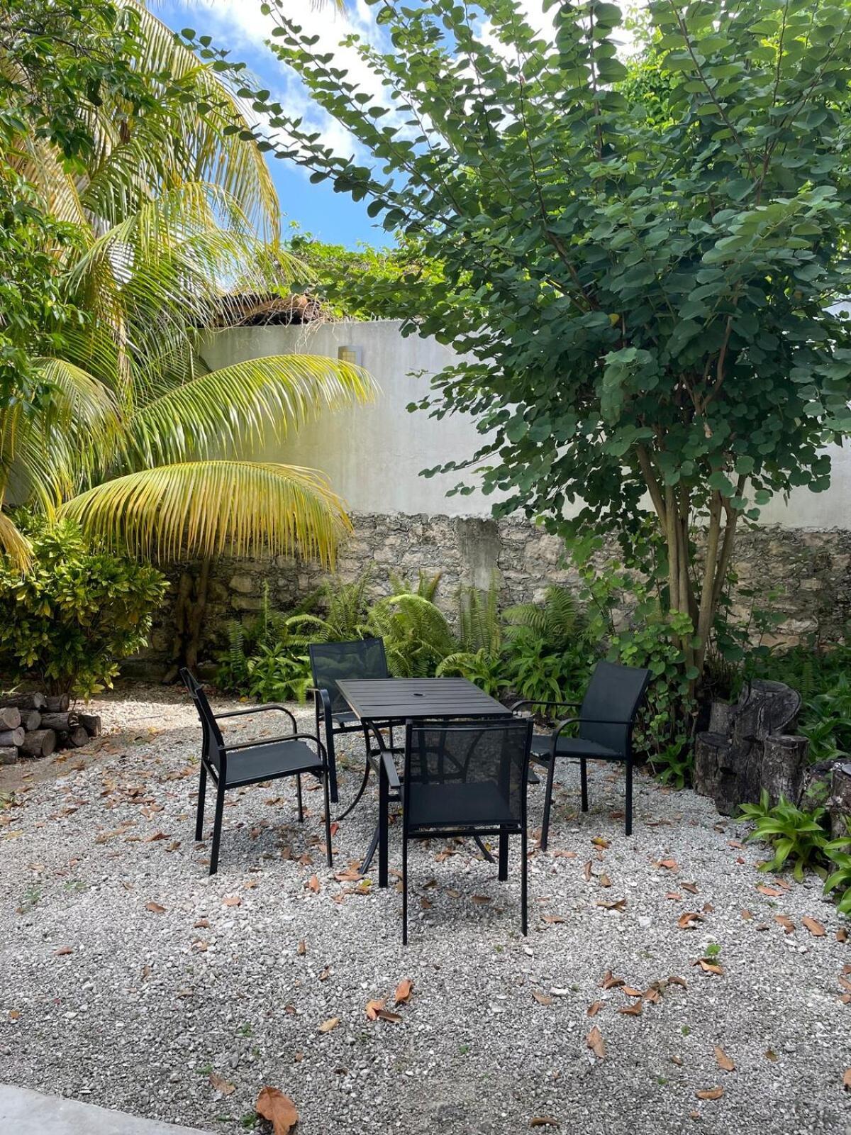 Coco Cozy Apartment Centric And Private Cozumel Esterno foto