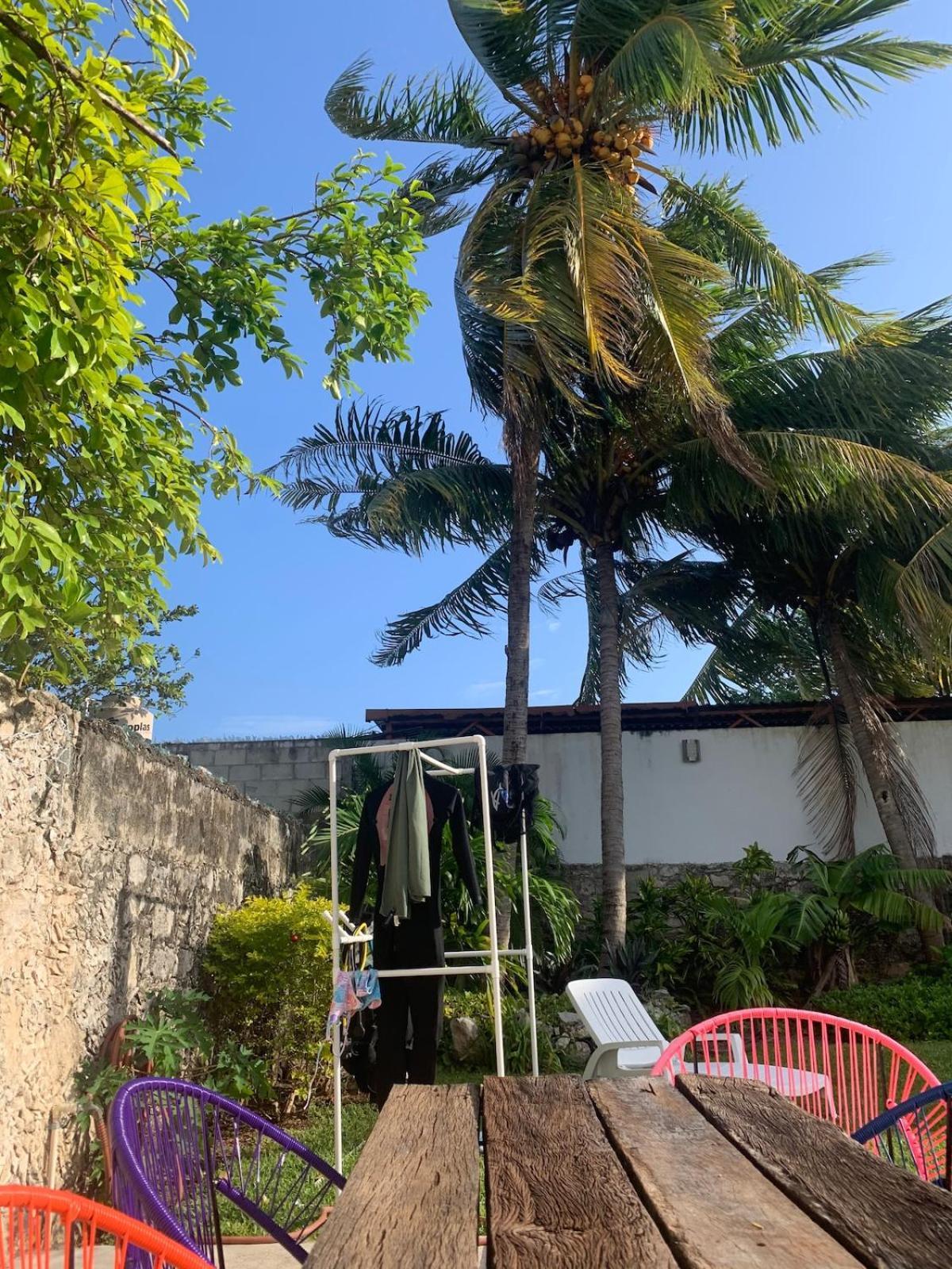 Coco Cozy Apartment Centric And Private Cozumel Esterno foto